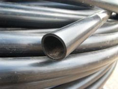 ����� ��� �����������